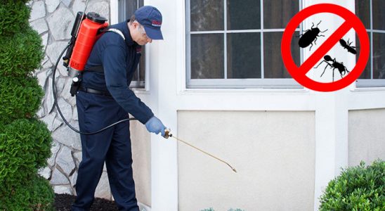 Güzelyalı Karınca İlaçlama böcek ilaçlama ve haşere kontrolü — ilaclama-tr.com